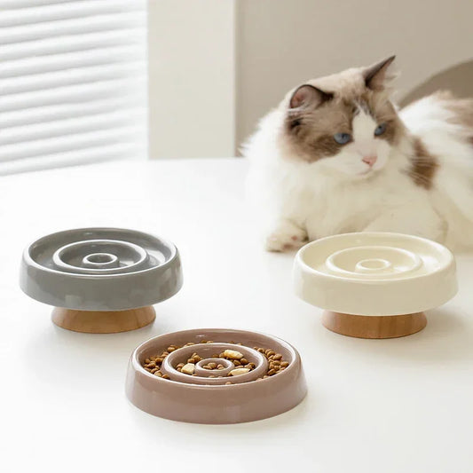 Pet Ceramic Slow Feeder Bowl Anti-Gulping Cat Food Dish Bowls Puppy