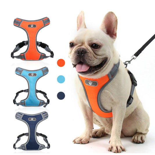 Harness Lead Dog Bulldog Puppy Pet Reflective Rainproof Collar