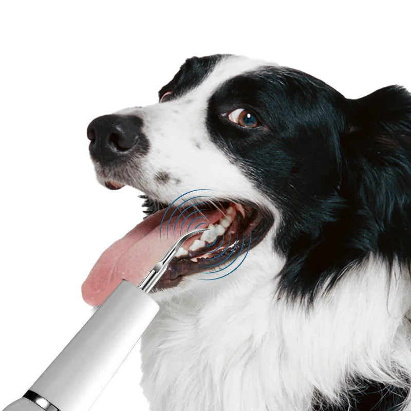 Dog Tooth Calculus Device Ultrasonic Toothbrush Electric Pet Tooth Scaler