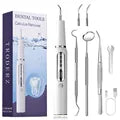 Dog Tooth Calculus Device Ultrasonic Toothbrush Electric Pet Tooth Scaler